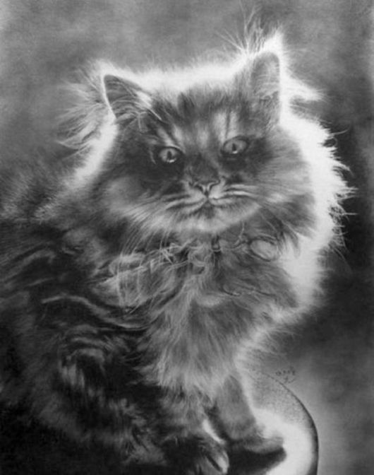 Life Like Pencil Drawings