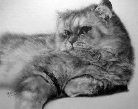 Life Like Pencil Drawings