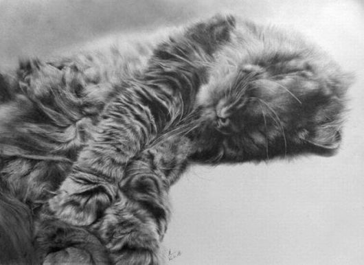Life Like Pencil Drawings
