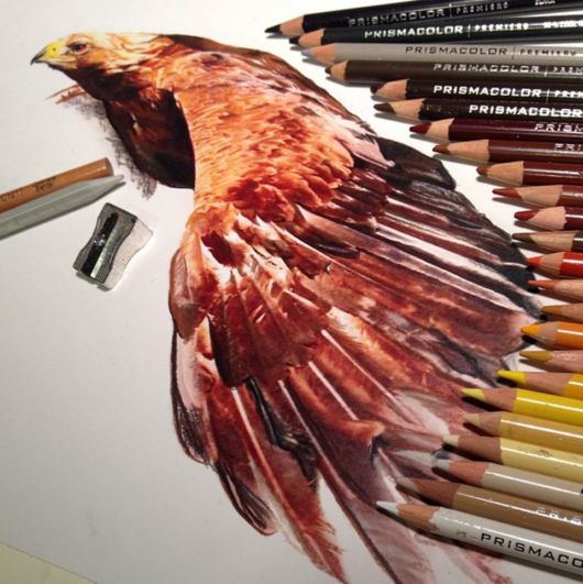 Realistic Animal Drawings With The Tools Used To Create Them