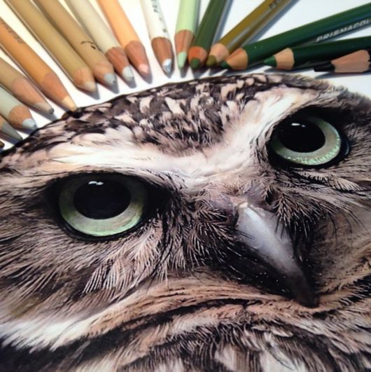 Realistic Animal Drawings With The Tools Used To Create Them