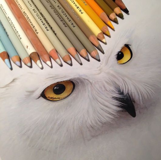 Realistic Animal Drawings With The Tools Used To Create Them