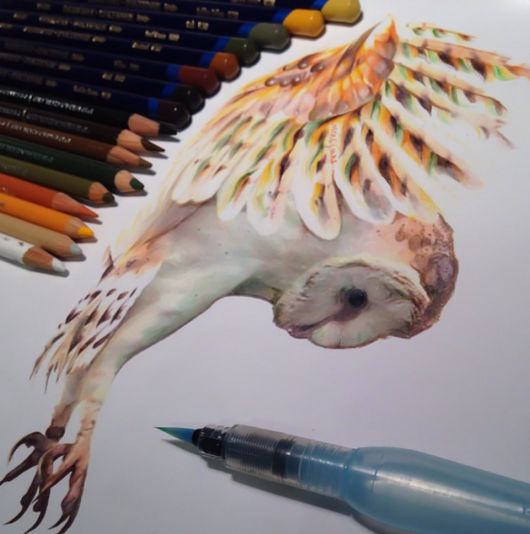 Realistic Animal Drawings With The Tools Used To Create Them