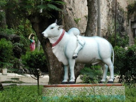 Batu Caves Breathtaking Charmers
