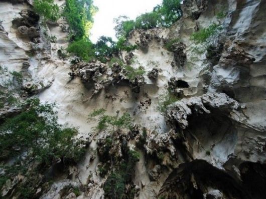 Batu Caves Breathtaking Charmers