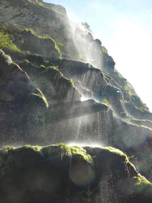 Amazing Christmas Tree Waterfall In Mexico