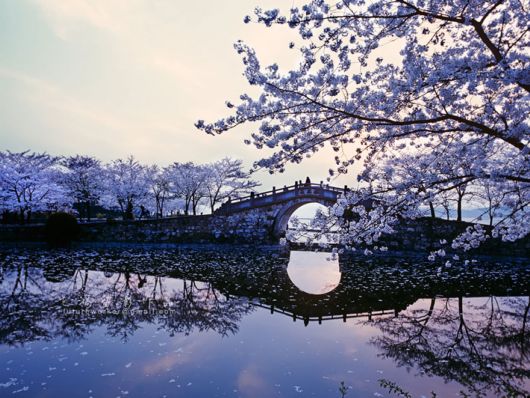 Why You Should Visit China