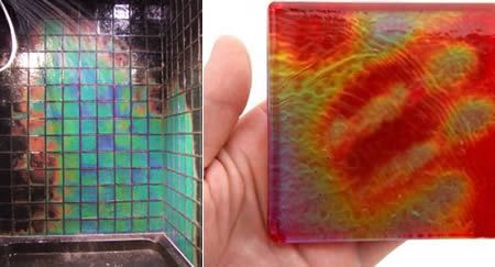 Coolest Shower Designs 