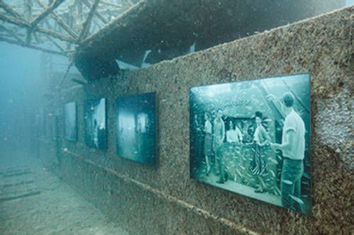 Crazy Underwater Art Gallery