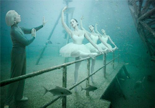 Crazy Underwater Art Gallery