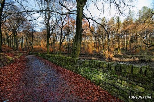 Click to Enlarge -Alone with the Nature Wallpapers