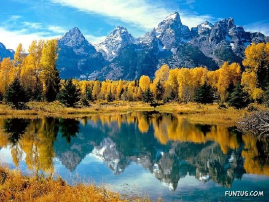 Beautiful Nature Reflections Pictures