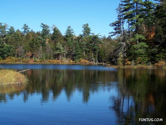 Beautiful Nature Reflections Pictures