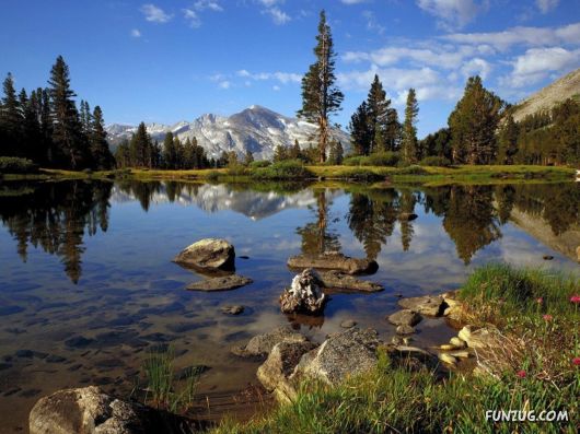 Beautiful Nature Reflections Pictures