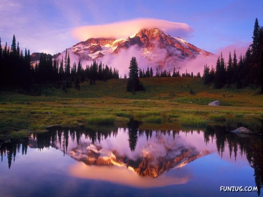 Beautiful Nature Reflections Pictures