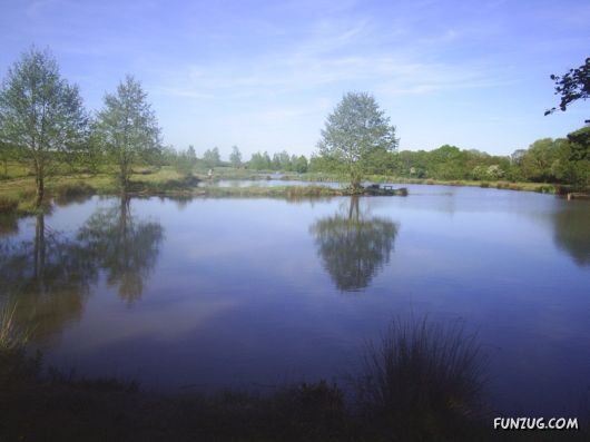 Beautiful Nature Reflections Pictures