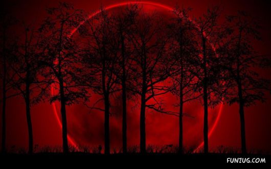 Click to Enlarge - So Nice Nature Wallpapers