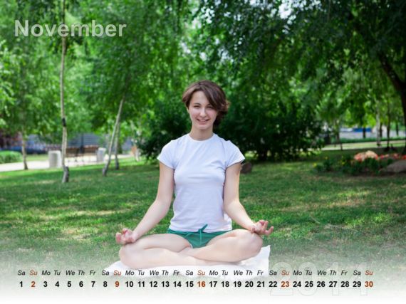 The Meditation Calendar 2014