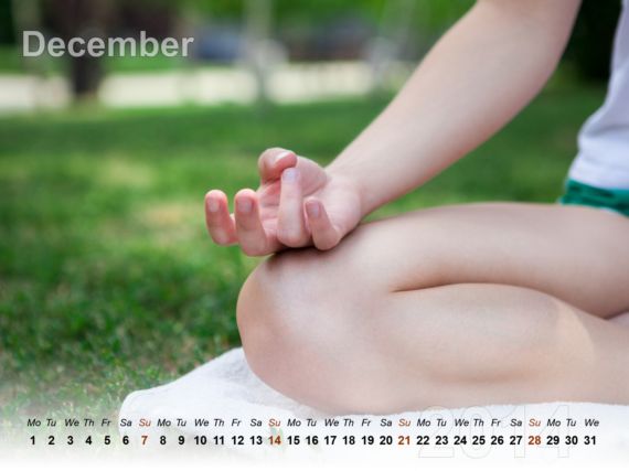 The Meditation Calendar 2014