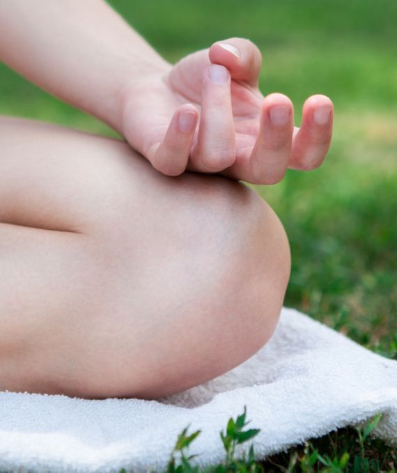 The Meditation Calendar 2014