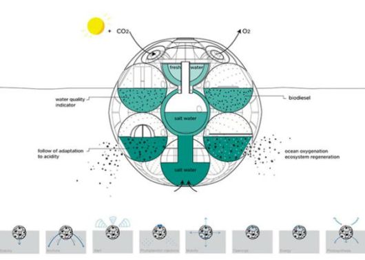 Futuristic Bloom Aquatic Phytoplankton Farm  