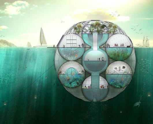 Futuristic Bloom Aquatic Phytoplankton Farm  