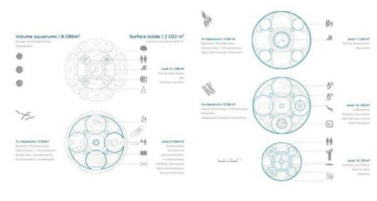 Futuristic Bloom Aquatic Phytoplankton Farm  