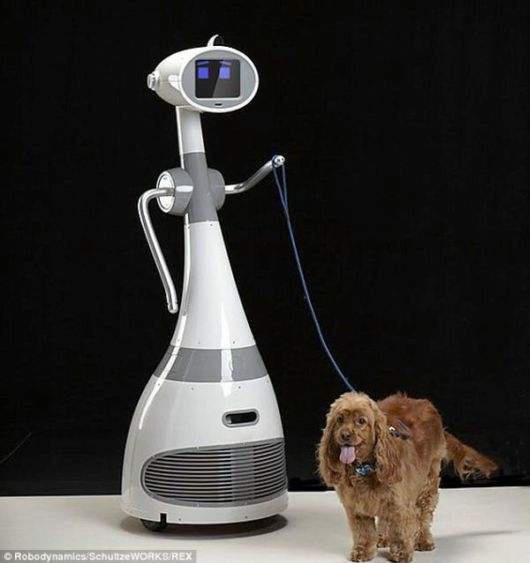 First Personal Assist Robot That You Want To Own